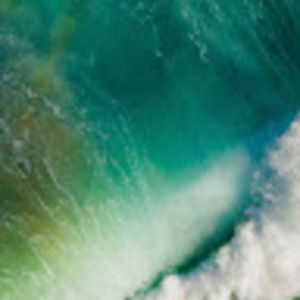 Meet your Posher, Jessie